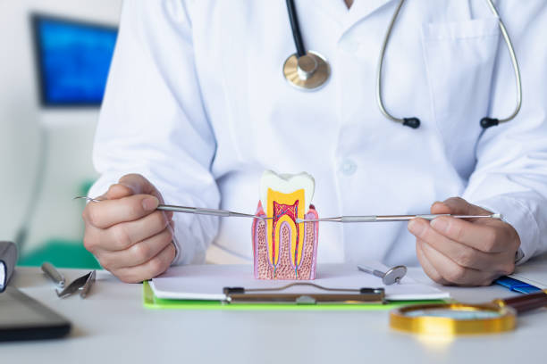 Best Emergency Dental Extractions in Masontown, PA